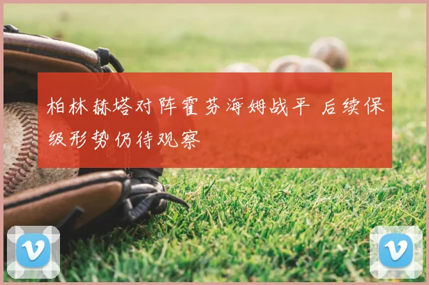 柏林赫塔对阵霍芬海姆战平 后续保级形势仍待观察
