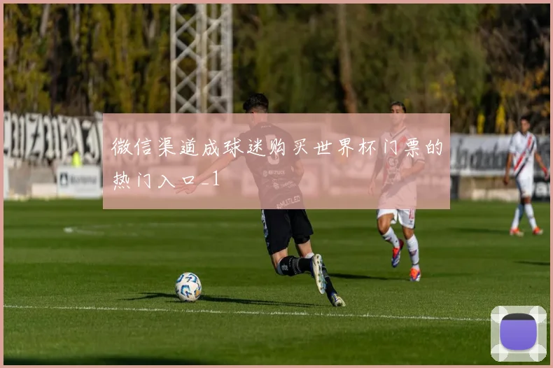 微信渠道成球迷购买世界杯门票的热门入口_1