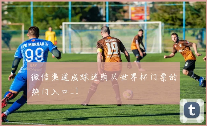 微信渠道成球迷购买世界杯门票的热门入口_1