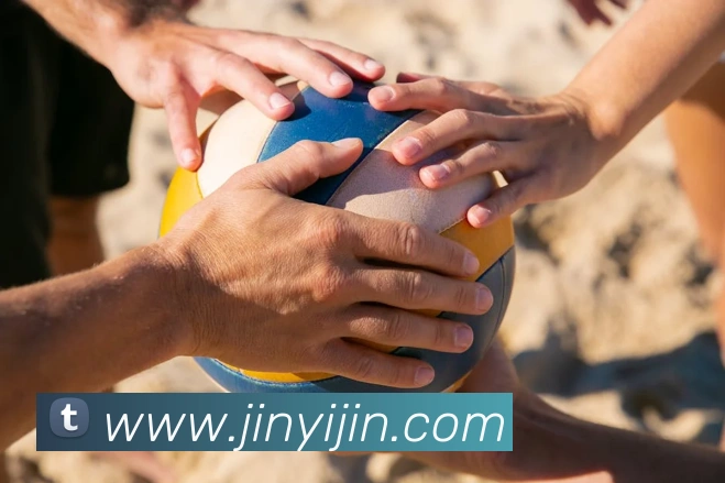 App Interface Preview